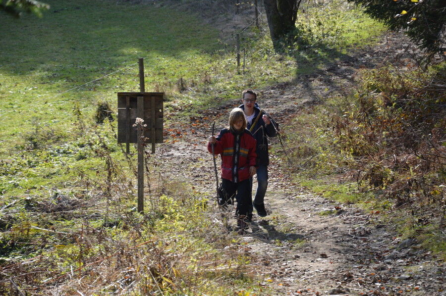 20141101143836-dsc_0032.jpg 20141101143836-dsc_0032.jpg