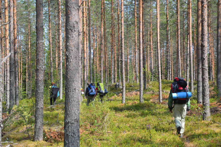 20130713110405-finnland_porschis_70_.jpg 20130713110405-finnland_porschis_70_.jpg