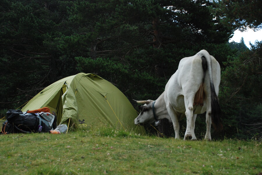 20110717082548-dsc_1614.jpg 20110717082548-dsc_1614.jpg