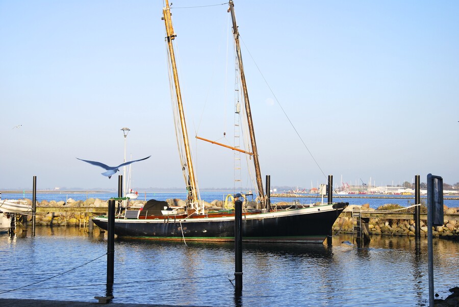 20170409185349_sofia_dsc_1343.jpg 20170409185349_sofia_dsc_1343.jpg